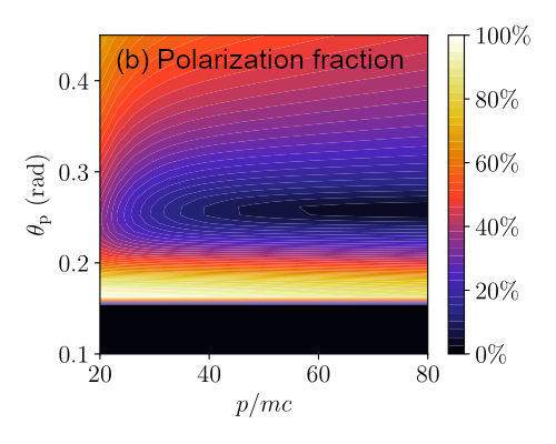 Polarization fraction